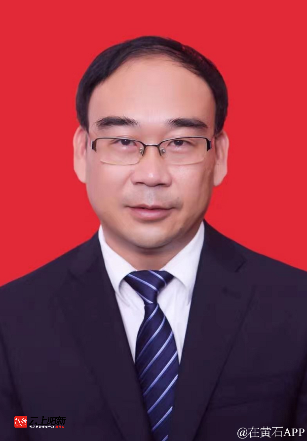 杨波任阳新县人民政府副县长代理县长