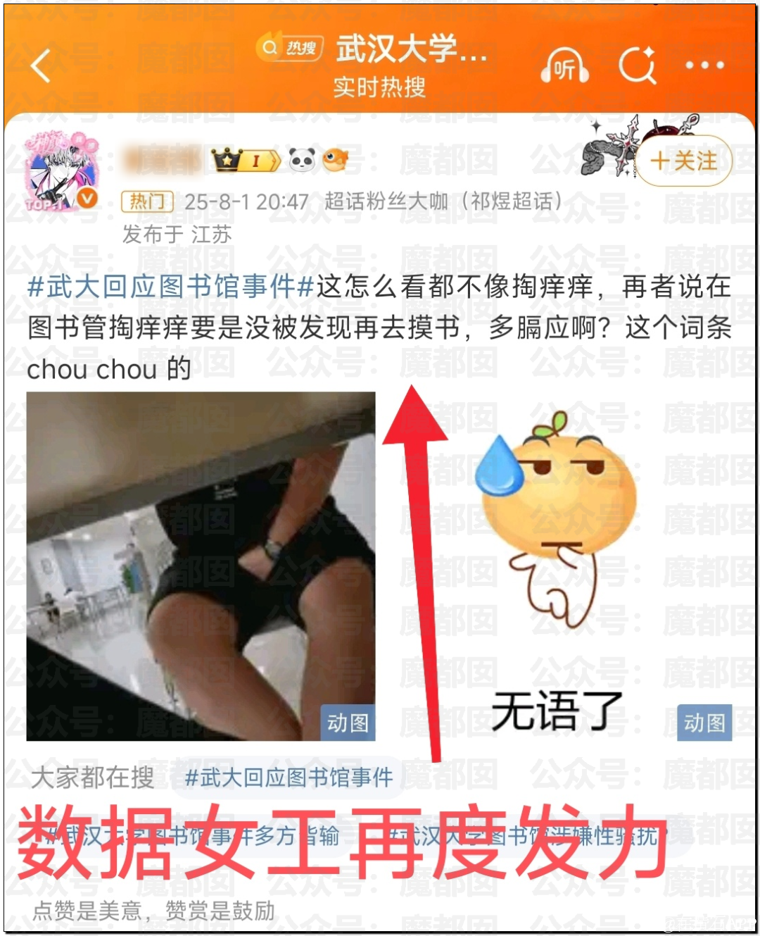095710m5xkv0v2wef22zyk.png